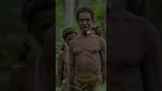 All About Korowai Tribe Of Indonesia  Man Eater Tribe shorts shortvideo gknucleus shortsfeed [upl. by Nroht706]