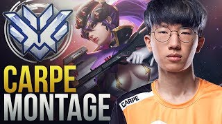 Carpe  INSANE CARRY PRO PLAYER  Overwatch Montage [upl. by Heriberto182]