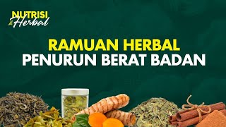 Cara Cepat Menurunkan Berat Badan Dengan Bahan Alami  Nutrisi amp Herbal 2 [upl. by Nepsa]