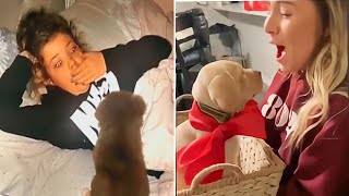 New Puppy Surprise Compilation 2023  Wholesome Surprise Moments [upl. by Peednama]