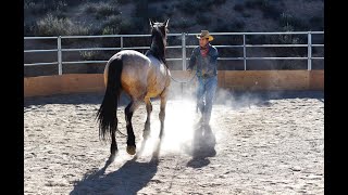 Horsemanship Clinic [upl. by Karena]