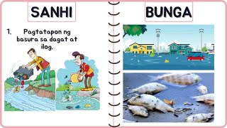 SANHI AT BUNGA NG PAGKASIRA NG KAPALIGIRAN SANHI BUNGA MELC DBOW KINDERGARTEN Cher Daryl [upl. by Ennayr]