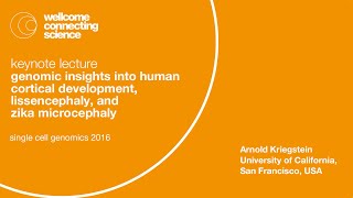 Genomic insights into human cortical development lissencephaly and zika microcephaly  Kriegstein [upl. by Olympe]