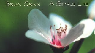 Brian Crain  A Simple Life Full Album [upl. by Eki]