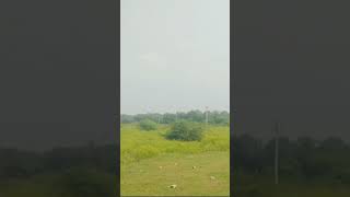 LAND FOR SALE MATEDU THORRU CONTACT NO9949455303 [upl. by Barrington818]