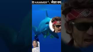 Unique hammer shark🤯🦈facts amazingfacts factsinhindi shark ytshortsindia shorts viralvideoyt [upl. by Wearing]