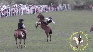 jineteada en San Jaime Bastos caballos jinete charreada jaripeo rodeoCowboy horse videos [upl. by Sig]