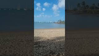 Airlie Beach and Cruise Ship on the Horizon😎🖤❤️ [upl. by Anenahs]