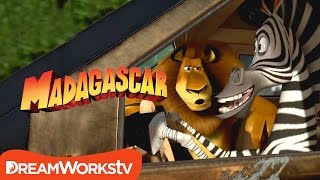 Madagascar 2 Escape to Africa FIRST TIME WATCHING [upl. by Wolenik]