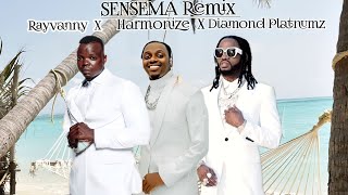 RAYVANNY FT HARMONIZE amp DIAMOND PLATNUMZ  SENSEMA Remix  OFFICIAL MUSIC VIDEO 2024 [upl. by Lledyr]