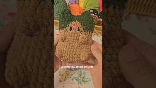 What are hiding inside my new cat pouch crochet handmade [upl. by Narad767]