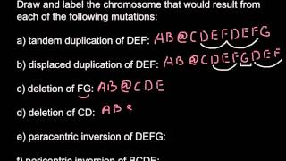 Types of chromosomal mutations [upl. by Anayad448]