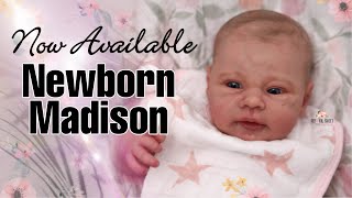 NOW AVAILABLE Sold Out quotMadisonquot sculpt by Andrea Arcello Baby Girl  Reborn Sweet [upl. by Henebry]