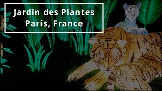 Jardin des Plantes  PARIS FRANCE  Jungle en voie dillumination expo 20232024  4K [upl. by Tap651]