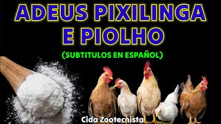 DIGA ADEUS AO PIOLHO E A PIXILINGA DE FORMA NATURAL E EFICAZ [upl. by Eedrahs]