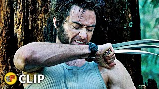 The Last Stand 2013 Movie  Arnold Schwarzenegger Forest Whitaker Johnny  Update Review amp Facts [upl. by Ativ973]