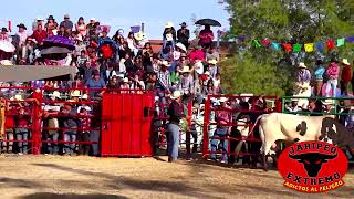 Jaripeo En Vivo Rancho La Candelaria En Tupataro Michoacan [upl. by Novej]