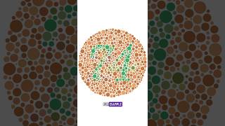 Through Different Eyes The Ishihara Test and the Color Blind Perspective [upl. by Uno]