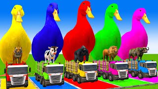 5 Giant Duck CartoonCowElephantTigerLionGorilla Paint Wild Animals Crossing Fountain Animation [upl. by Ramalahs]