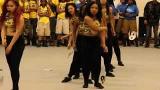 Missouri State Non Greek Stroll Off 2014 [upl. by Iaj]