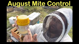 August Mite Control [upl. by Youngman151]