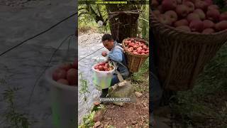 This farmer crosses the river by swinging on a rope shortvideo [upl. by Nerehs]