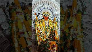 Maa kamarupabirapratap purpurikali Puja 🙏🙏❤️🪔 [upl. by Drarreg]