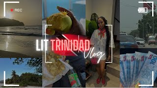 Trinidad Vlog  🇹🇹 Speaking in my accent for 24 hours  Trini Foodsnacks  Culture amp more 🫶🏽 [upl. by Oirobil91]