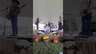 High Carbon Steel Music live coverIve Just Seen A Face The Beatles [upl. by Esahc]