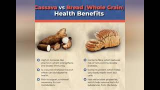 Benefits of cassava [upl. by Hgielrac]