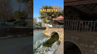 dehradun street food ll Maldevta dehradun ll food truck [upl. by Athalee119]