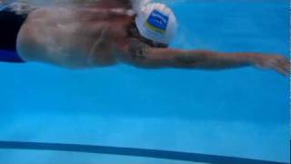 Total Immersion Coach Toby Haddock Swimming Freestyle [upl. by Zita]