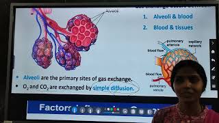 Biology  Exchange of Gas Transport of gases and disorders of respiratory system [upl. by Arbmat]