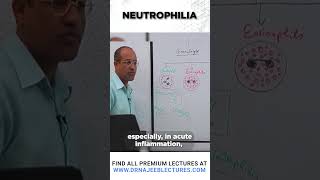 Neutrophilia drnajeeb shortvideo medicalstudent [upl. by Jacoba]