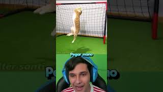 Esse Gato é o Melhor Goleiro [upl. by Ahsenyl909]