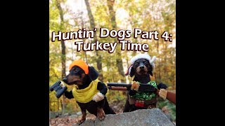 Crusoe amp Oakley the Huntin Dogs Turkey Time [upl. by Eilahs]