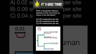 How to understand phylogenetic trees [upl. by Mcmaster]