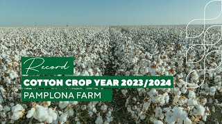 New Record Cotton Crop Year at Pamplonas Farm [upl. by Screens]