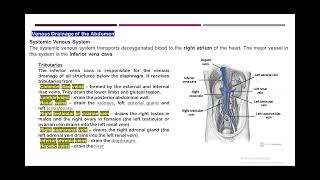 abdomen ct venography part 1 [upl. by Quince228]