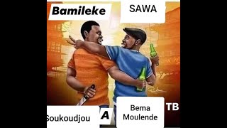 TRIBALISME au CAMEROUN HALTE AUX NARRATIFS FAUX dixit TIMBA BEMA cameroun cameroon tribalism [upl. by Niledam]