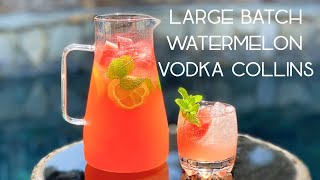 LARGE BATCH WATERMELON VODKA COLLINS  A Perfect Big Batch Cocktail Recipe  Watermelon Cocktail [upl. by Chrotoem]