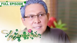 ENG SUB Ep 85  Wildflower  Maja Salvador Tirso Cruz III Aiko Melendez [upl. by Eimac637]