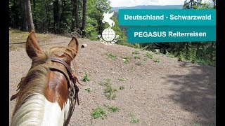 Reiturlaub  Donau amp Schwarzwald Trail  Wanderreiten in Deutschland [upl. by Yorke680]