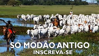 Modão das Antigas Sucessos Sertanejos só Modão de Raizvol141 [upl. by Eirb]