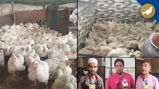 Chicken prices spike in Hyderabad [upl. by Bernita]