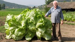 Kad OVO sipam u zemlju jesenska salata eksplodira od rasta [upl. by Esila]