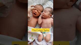 Cutest Twin newborn babies First Minute [upl. by Selwin844]