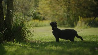 Catskills  Canon C70  Helios 442 [upl. by Nosittam]