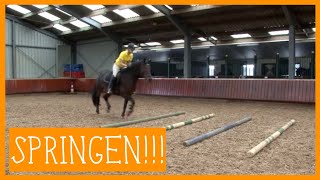 Basis springen  PaardenpraatTV [upl. by Tim]