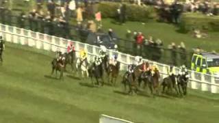 Cheltenham Gold Cup Chase 2011 [upl. by Frierson]